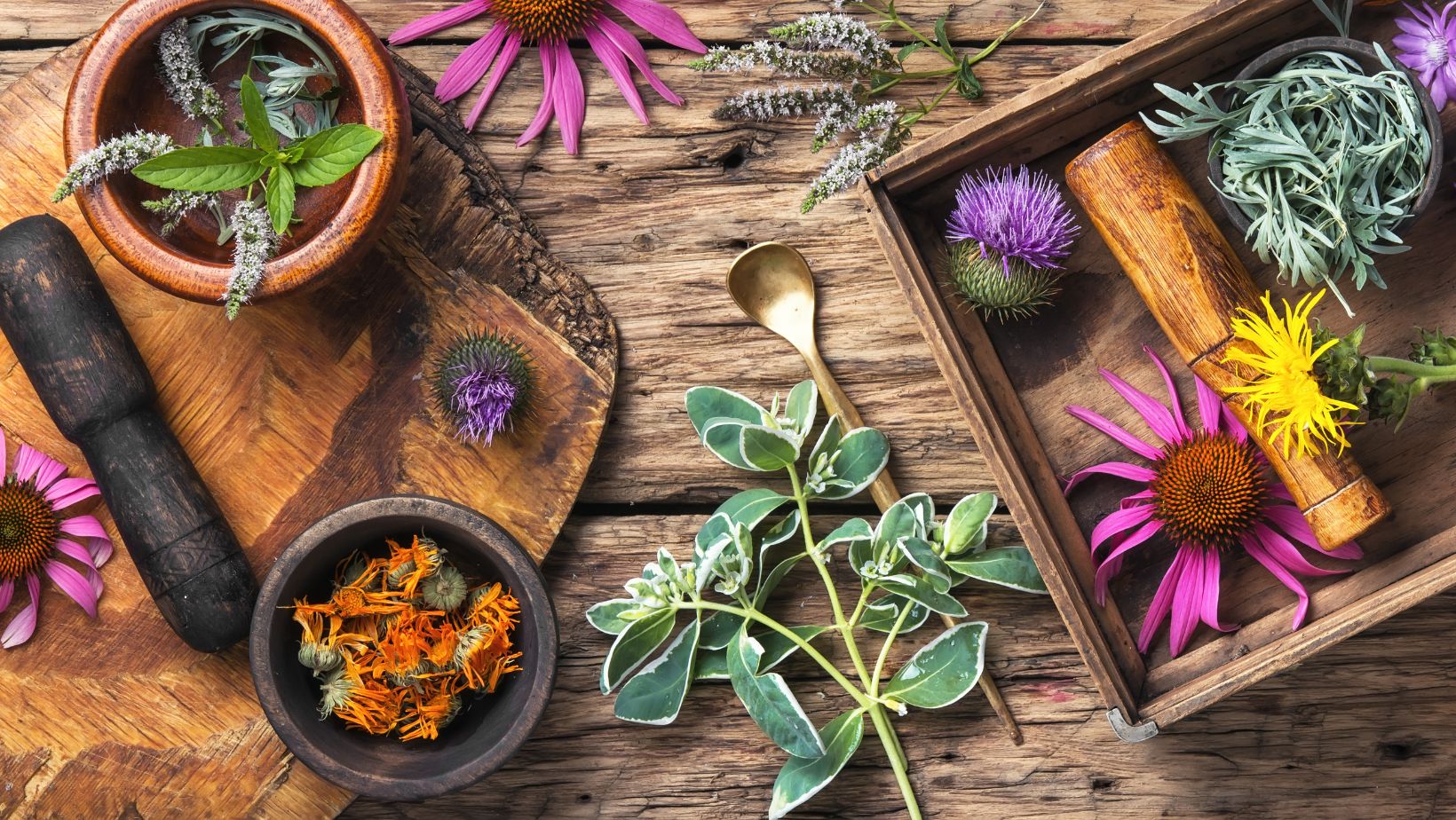 garden herbs